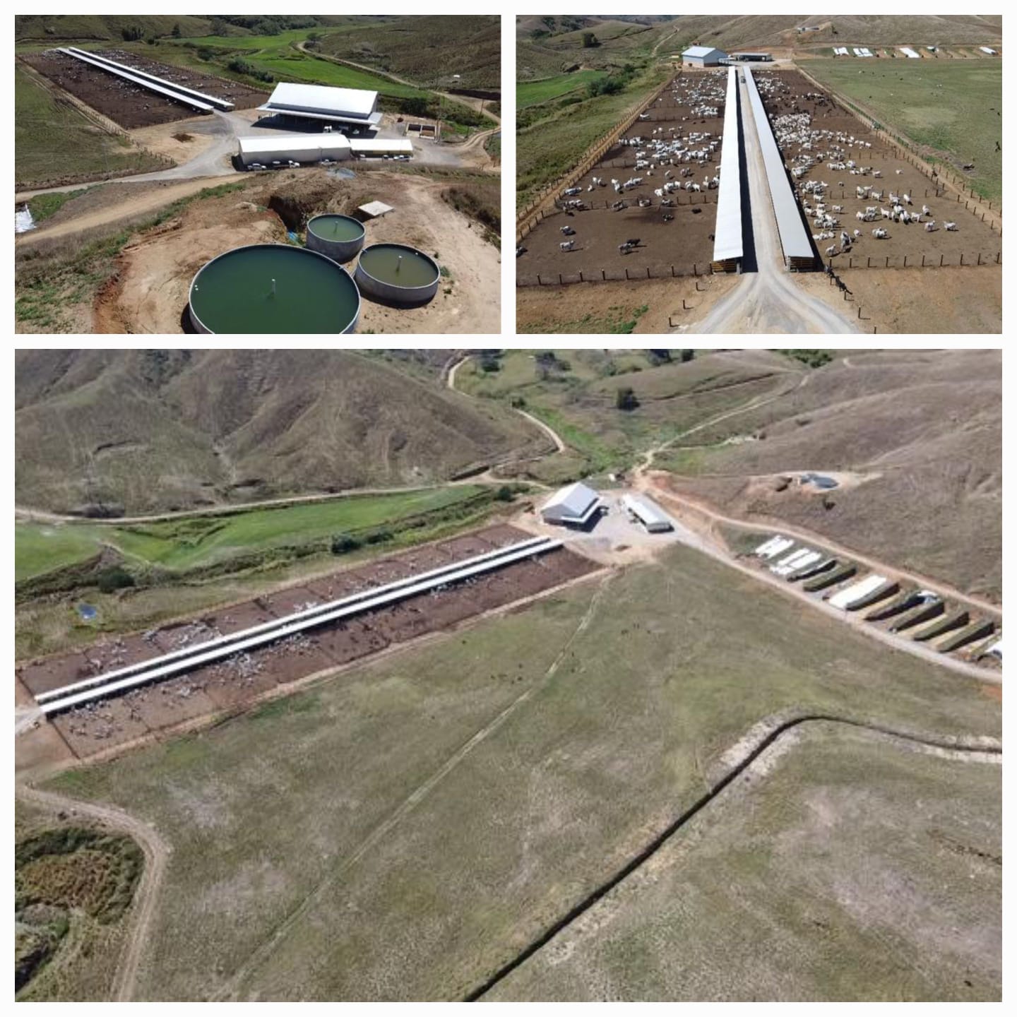 Rio de Janeiro avança na exportação de gado vivo com habilitação do Confinamento Gironda PO Centenário Sul LTDA como a primeira EPE